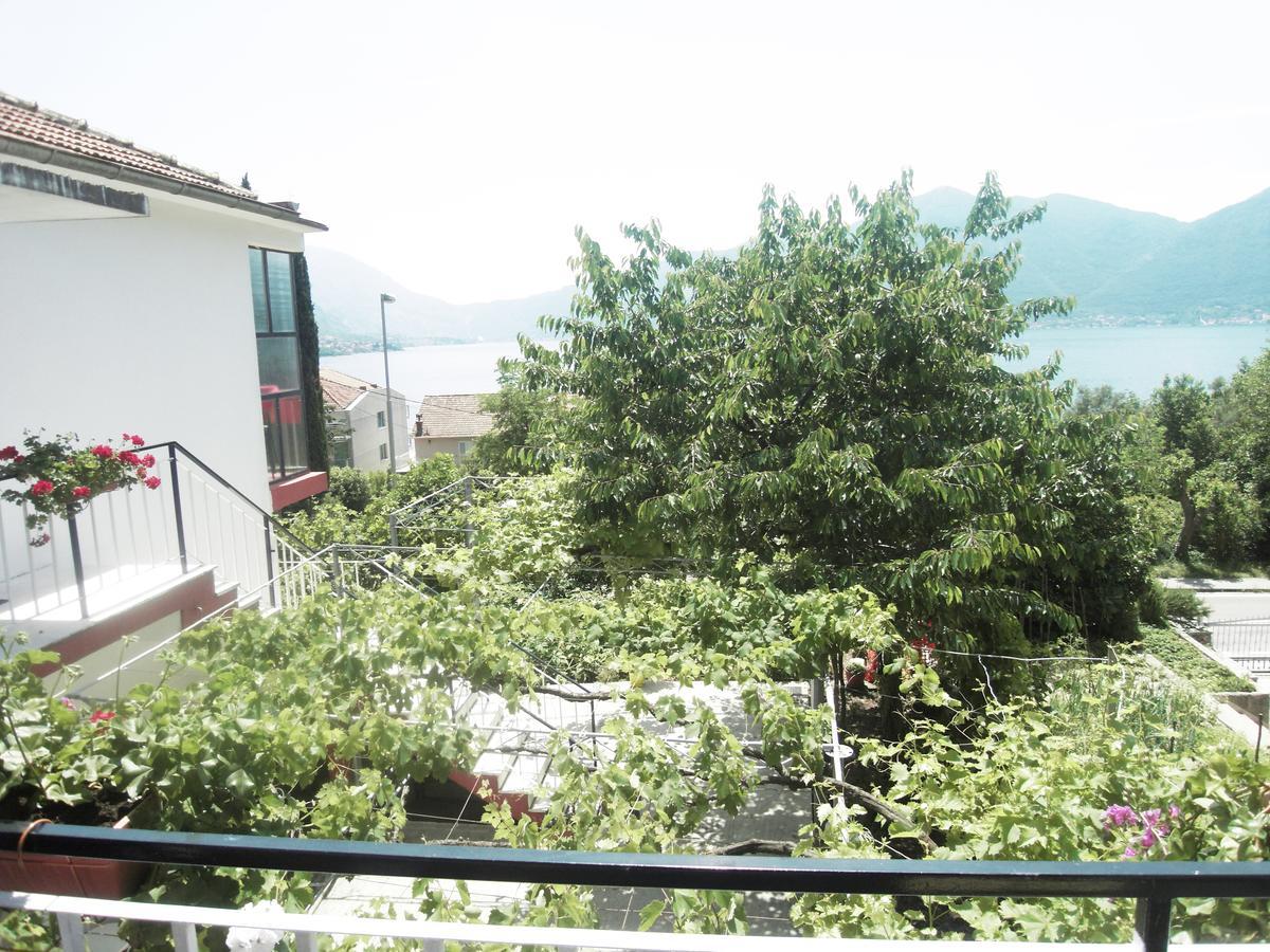 Apartment Ivana Котор Екстер'єр фото