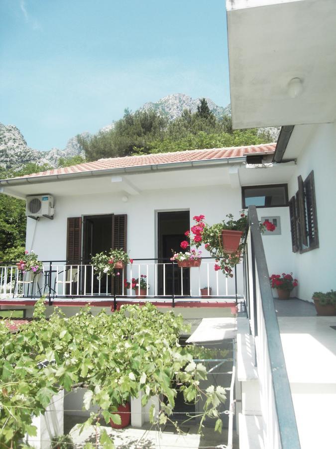 Apartment Ivana Котор Екстер'єр фото